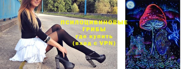 винт Долгопрудный