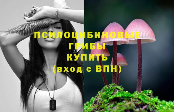 прущий лед Лиски