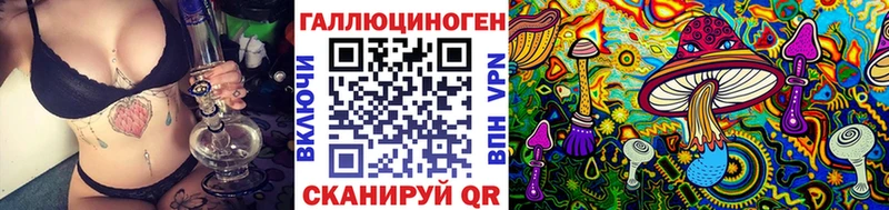 Псилоцибиновые грибы Psilocybe Кисловодск