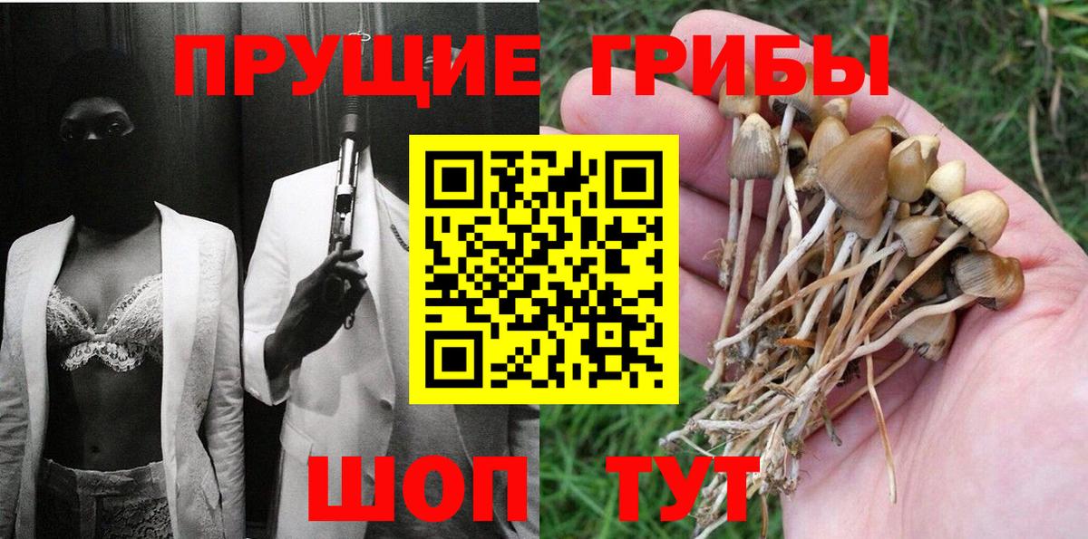 Кисловодск  Псилоцибиновые грибы прущие грибы  Вход с VPN 