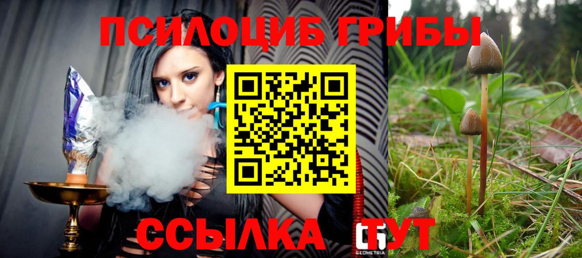 Псилоцибиновые грибы Cubensis  Галлюциногенные грибы Psilocybe  Кисловодск 