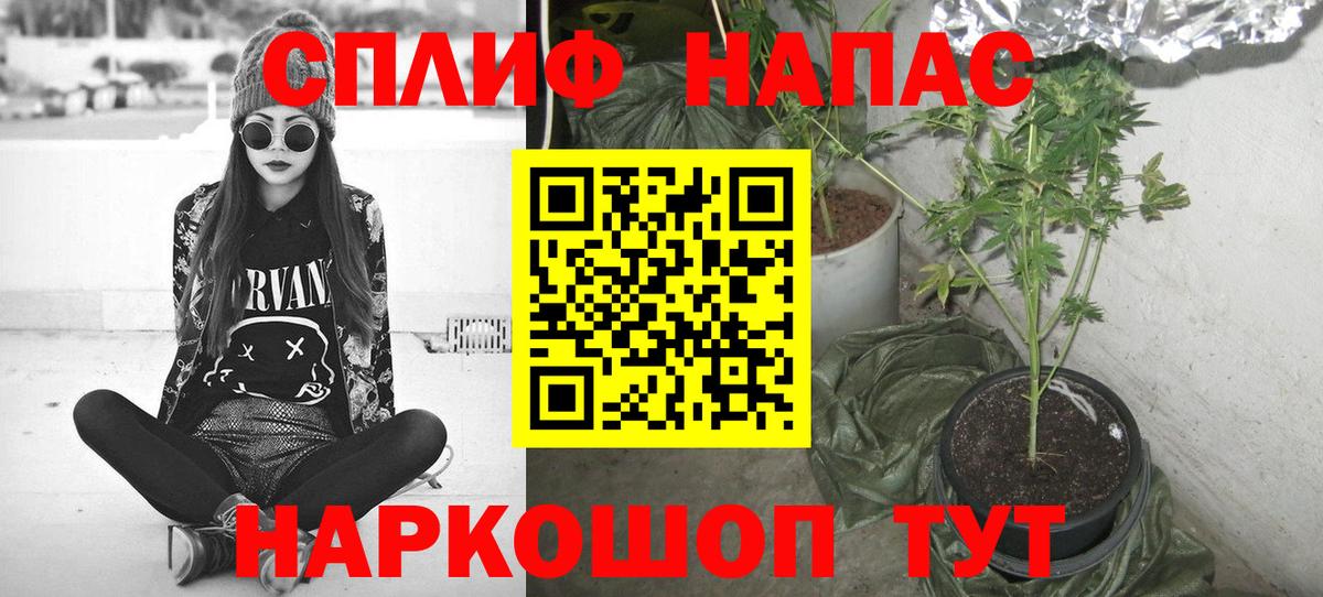Кисловодск  Марихуана AK-47  Бошки марихуана сатива  Вход с VPN  Бошки Шишки White Widow 